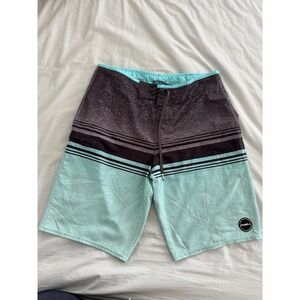 O'Neill Hyperfreak Board Shorts Mens 31 Mint Stripe Surf Swim Trunks Stretch